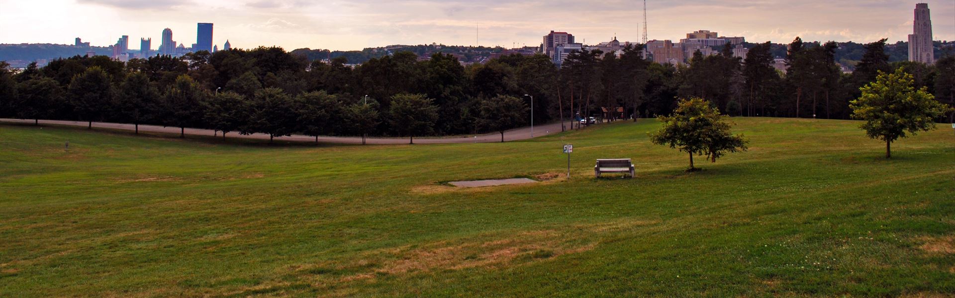 Schenley Park