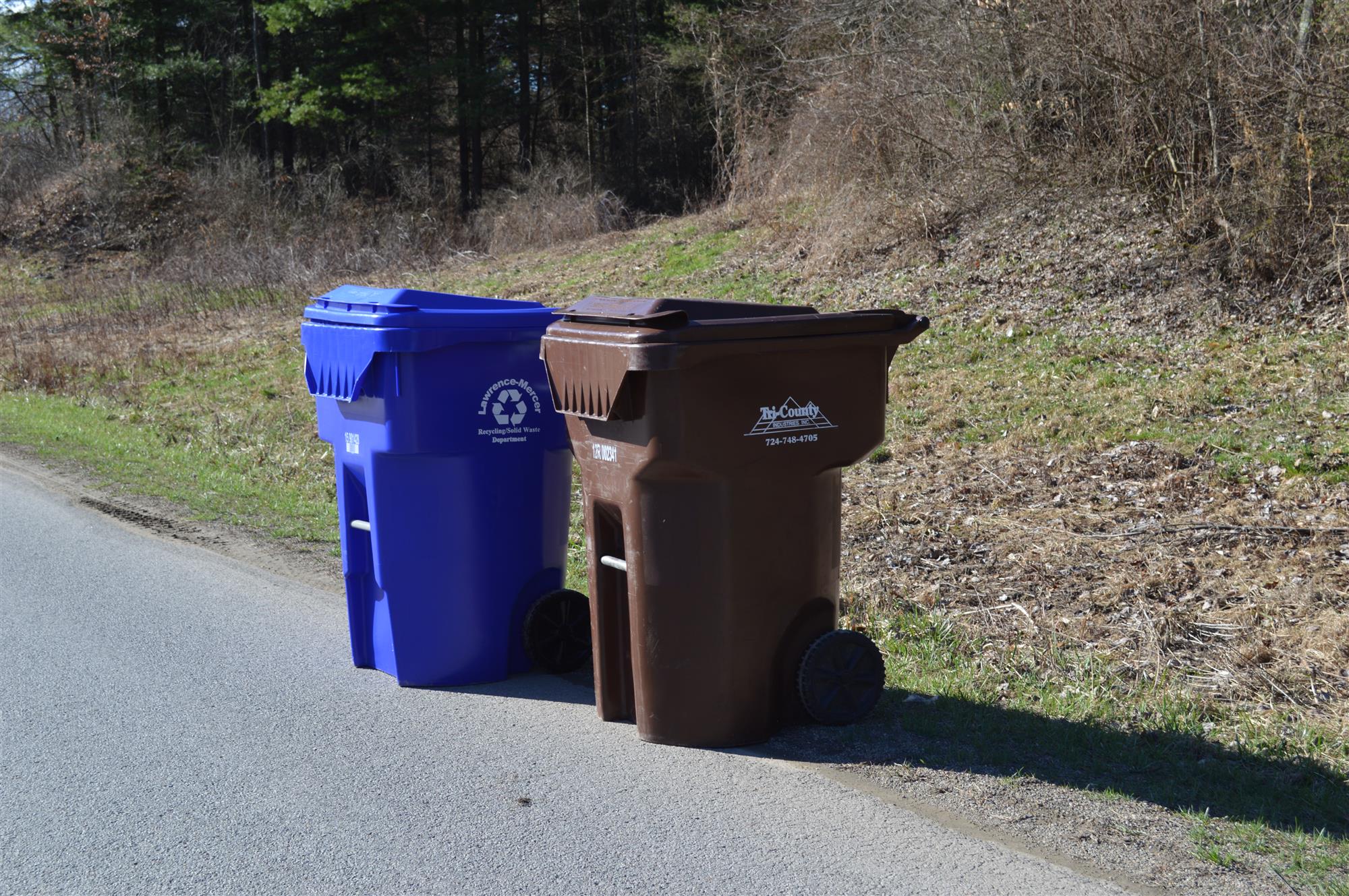 Basic How-To Tips for Garbage Collection