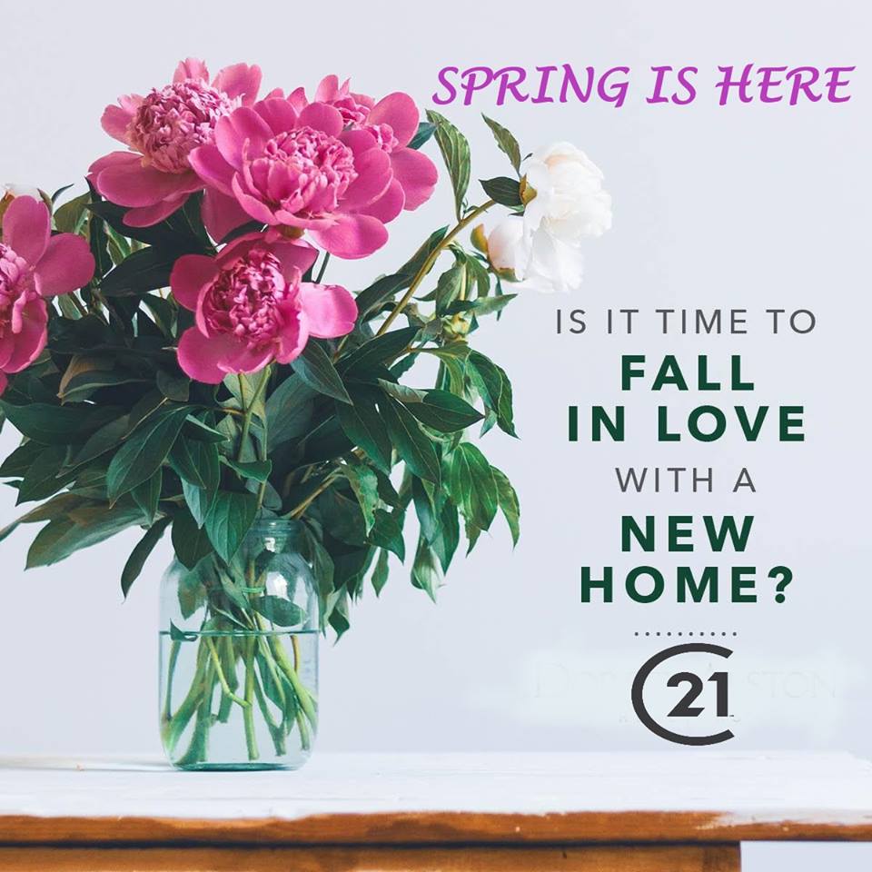 Pink flowers in a glass vase with the text: "Spring is here."