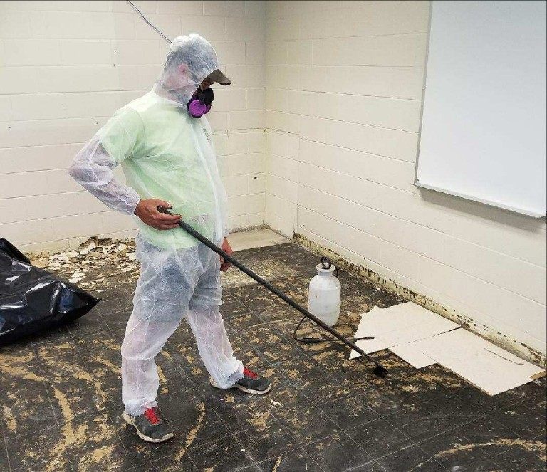 environmental worker removing mold 